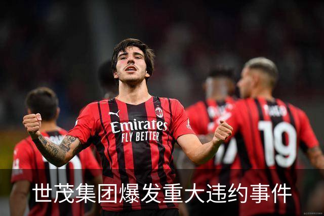 世茂集团爆发重大违约事件