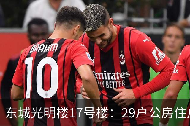 东城光明楼17号楼：29户公房住户凑钱把楼拆了重建