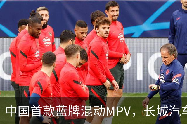 中国首款蓝牌混动MPV，长城汽车正式向丰田宣战