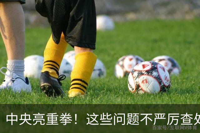 中央亮重拳！这些问题不严厉查处的，直接追究地方领导责任！