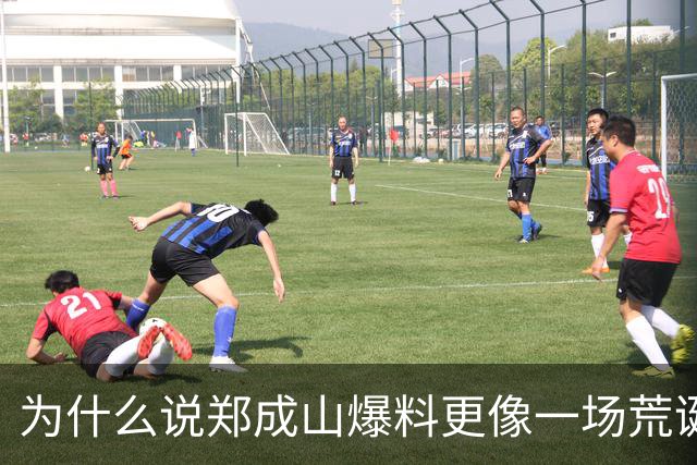为什么说郑成山爆料更像一场荒诞闹剧？