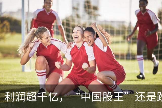 利润超千亿，“中国股王”还是跌疼了股民
