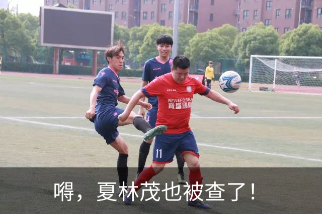 嘚，夏林茂也被查了！