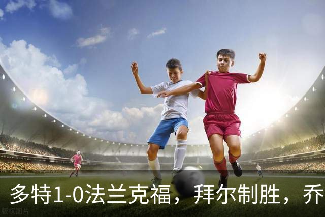 多特1-0法兰克福，拜尔制胜，乔布-贝林厄姆送助攻