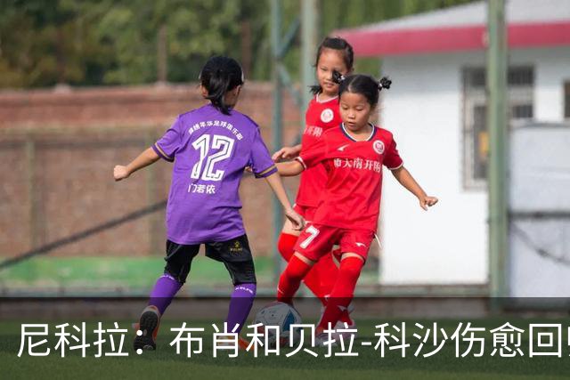 尼科拉：布肖和贝拉-科沙伤愈回归；我们本该赢下热那亚