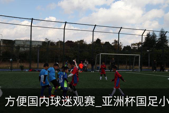 方便国内球迷观赛 亚洲杯国足小组赛全部21时30分开球