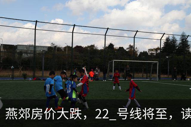 燕郊房价大跌，22 号线将至，读懂站点逻辑，片区涨跌分化。
