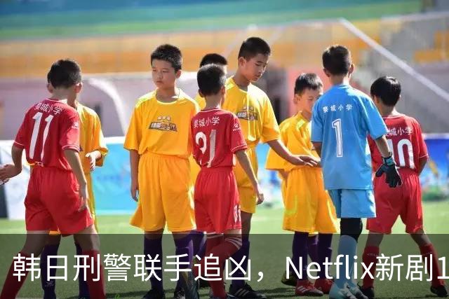 韩日刑警联手追凶，Netflix新剧11月20日上线