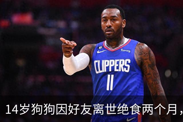 14岁狗狗因好友离世绝食两个月，主人急坏了，特地准备了一顿烤肉，没想到剧情直接反转！
