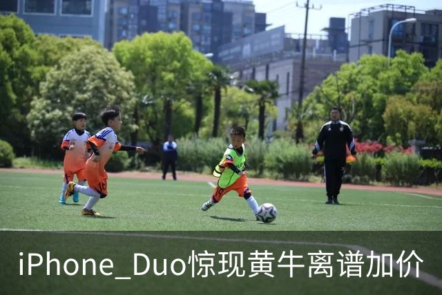 iPhone Duo惊现黄牛离谱加价